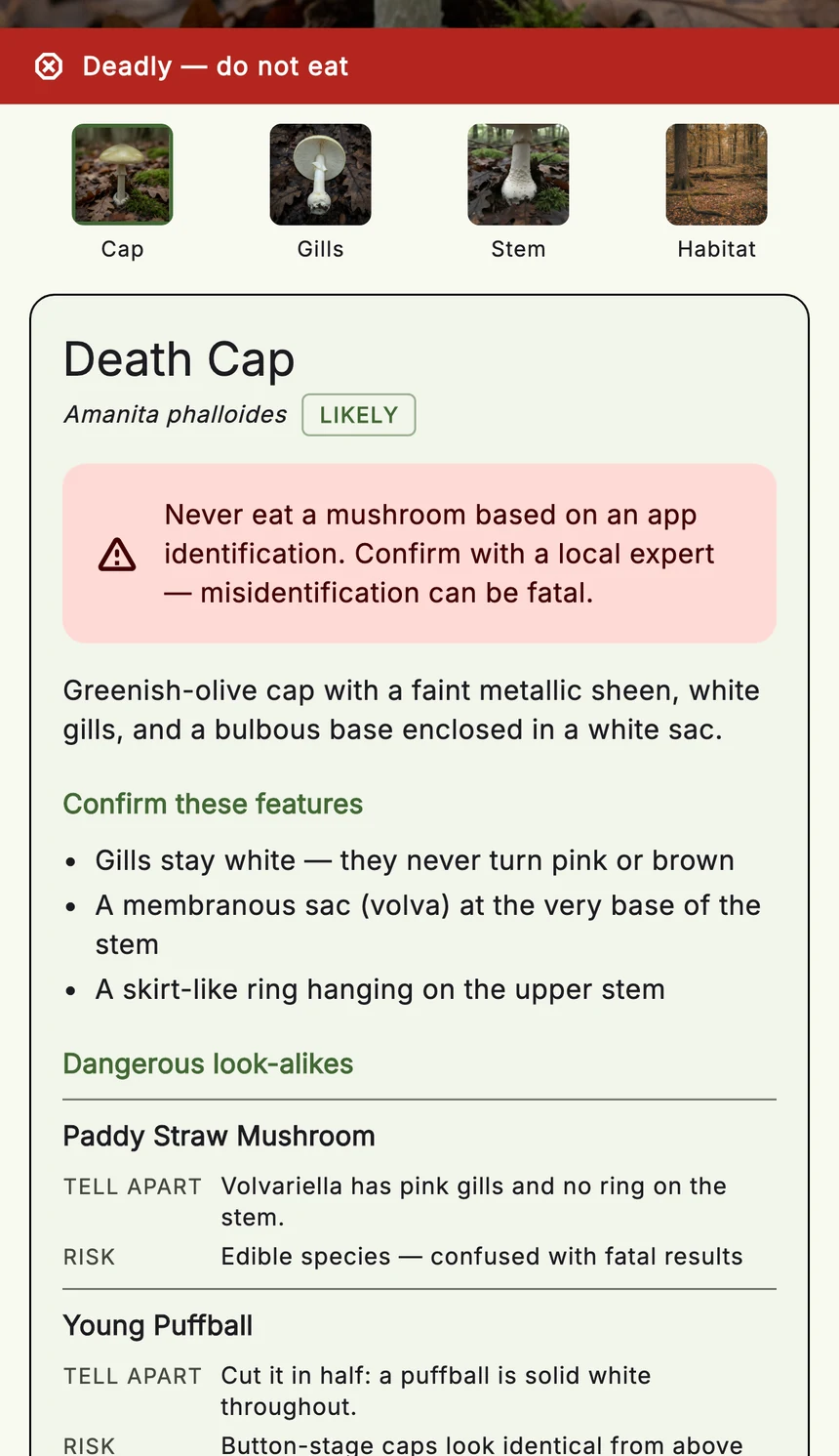 A Mycoscout result showing cap, gills, stem and habitat photos with features to confirm