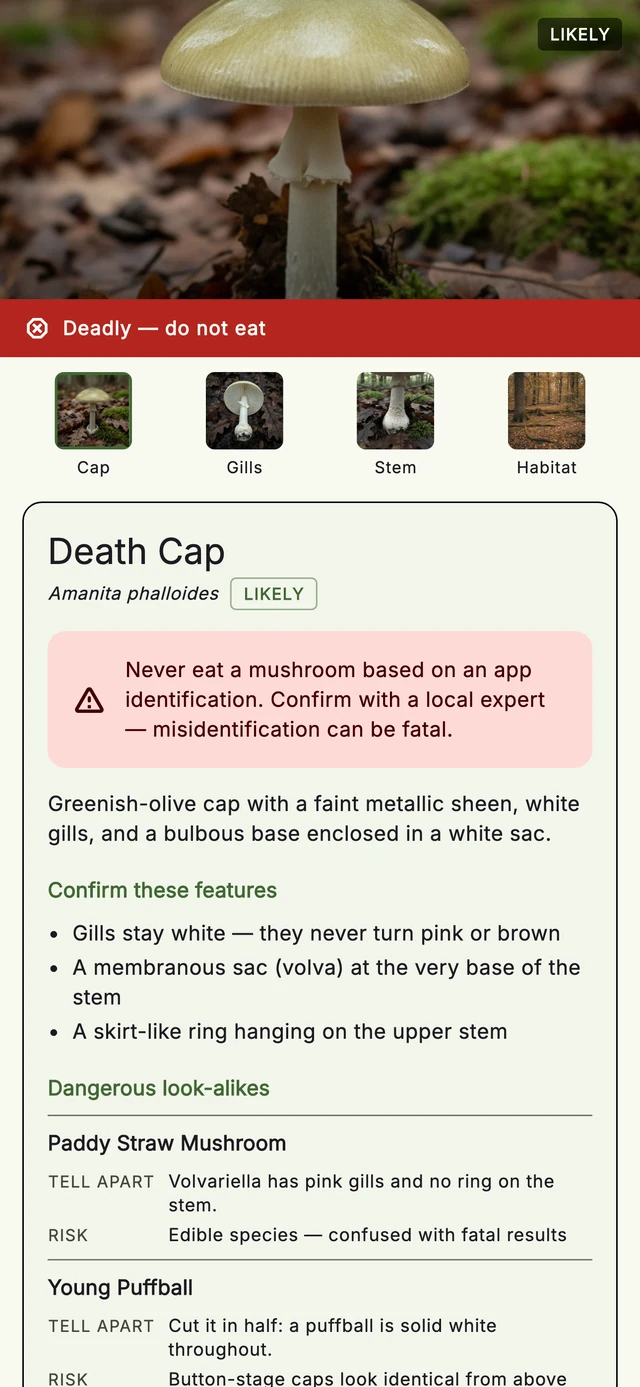 Mycoscout result screen for a death cap with Cap, Gills, Stem and Habitat photo thumbnails above a red 'Deadly, do not eat' verdict band