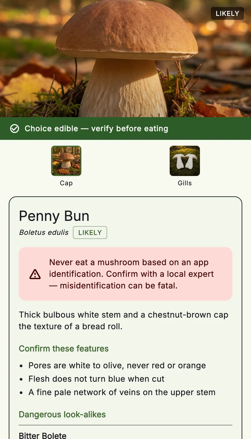 A penny bun result with a green "Choice edible — verify before eating" band at the top